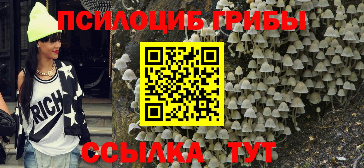 Псилоцибиновые грибы Psilocybine cubensis Королёв