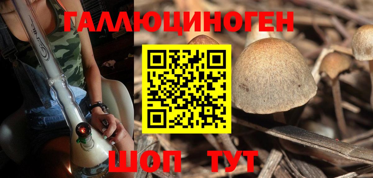 Королёв  Псилоцибиновые грибы MAGIC MUSHROOMS  Вход с VPN 